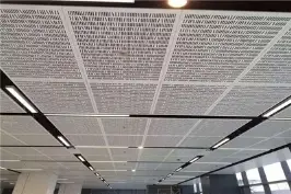 Panneau en aluminium perforé, perçage de trou, épaisseur 3,5 mm, conception architecturale décorative