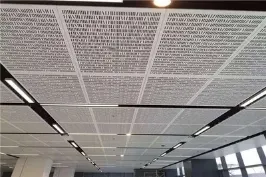 Panneau métallique aluminium perforé à trou 3,5 mm pour conception architecturale décorative — Foshan Qi Aluminum Decorative Materials Co. Ltd