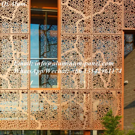 Panneau métallique perforé en aluminium galvanisé 2,5 mm avec trou pour conception architecturale