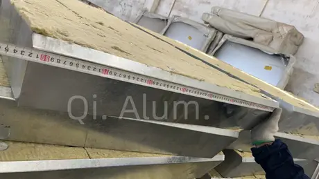 Façade rideau légère en panneau arrière GI/aluminium avec montage pratique et rapide vue 2