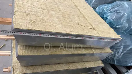 Façade rideau légère en panneau arrière GI/aluminium avec montage pratique et rapide vue 4