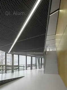 Panneaux de plafond en grille métallique perforée en aluminium pour mur décoratif vue 2